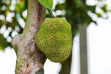 《怪物猎人崛起》Steam在线峰值打破记录 超19万人